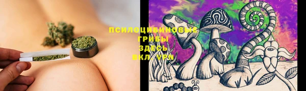 дмт Новый Уренгой