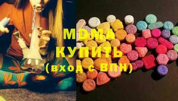 прущие грибы Долгопрудный