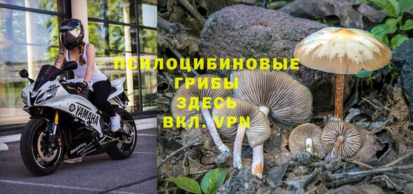 дмт Новый Уренгой