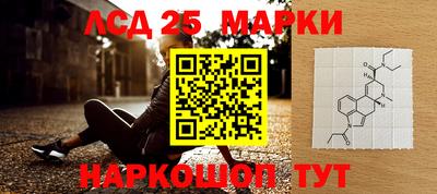 сатива Коммунар