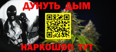 сатива Коммунар