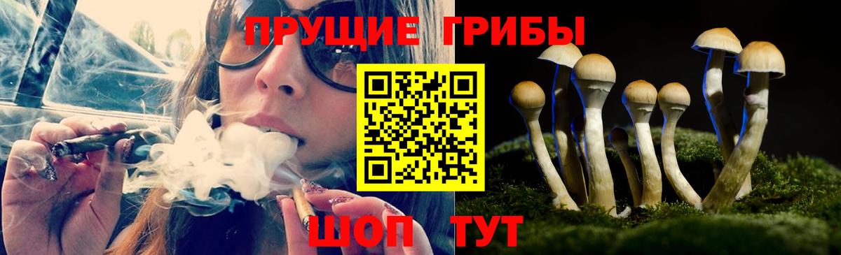 Феодосия  Псилоцибиновые грибы MAGIC MUSHROOMS  Вход с VPN 